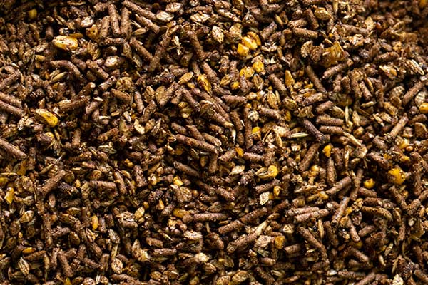 Equine Feed